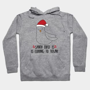 christmas humor santa bird Hoodie